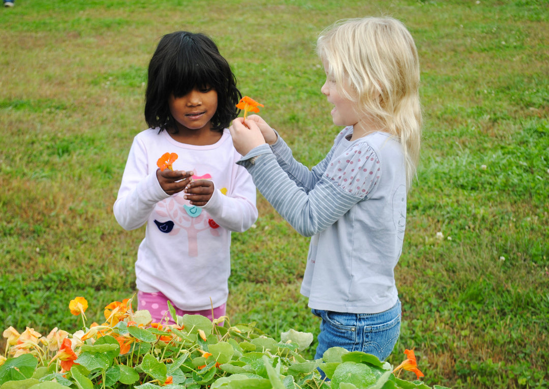 Color from Nature Camp - August 25-29 Half Day