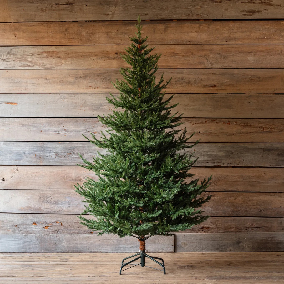 Olympia Fir 7.5' Christmas Tree