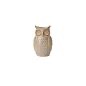 Great Grey Owl Budvase