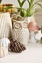 Great Grey Owl Budvase