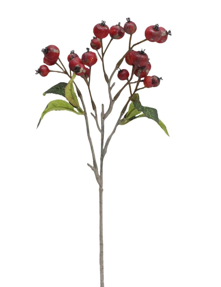Red Linden Berry Stem