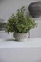 Mirabai Bowl