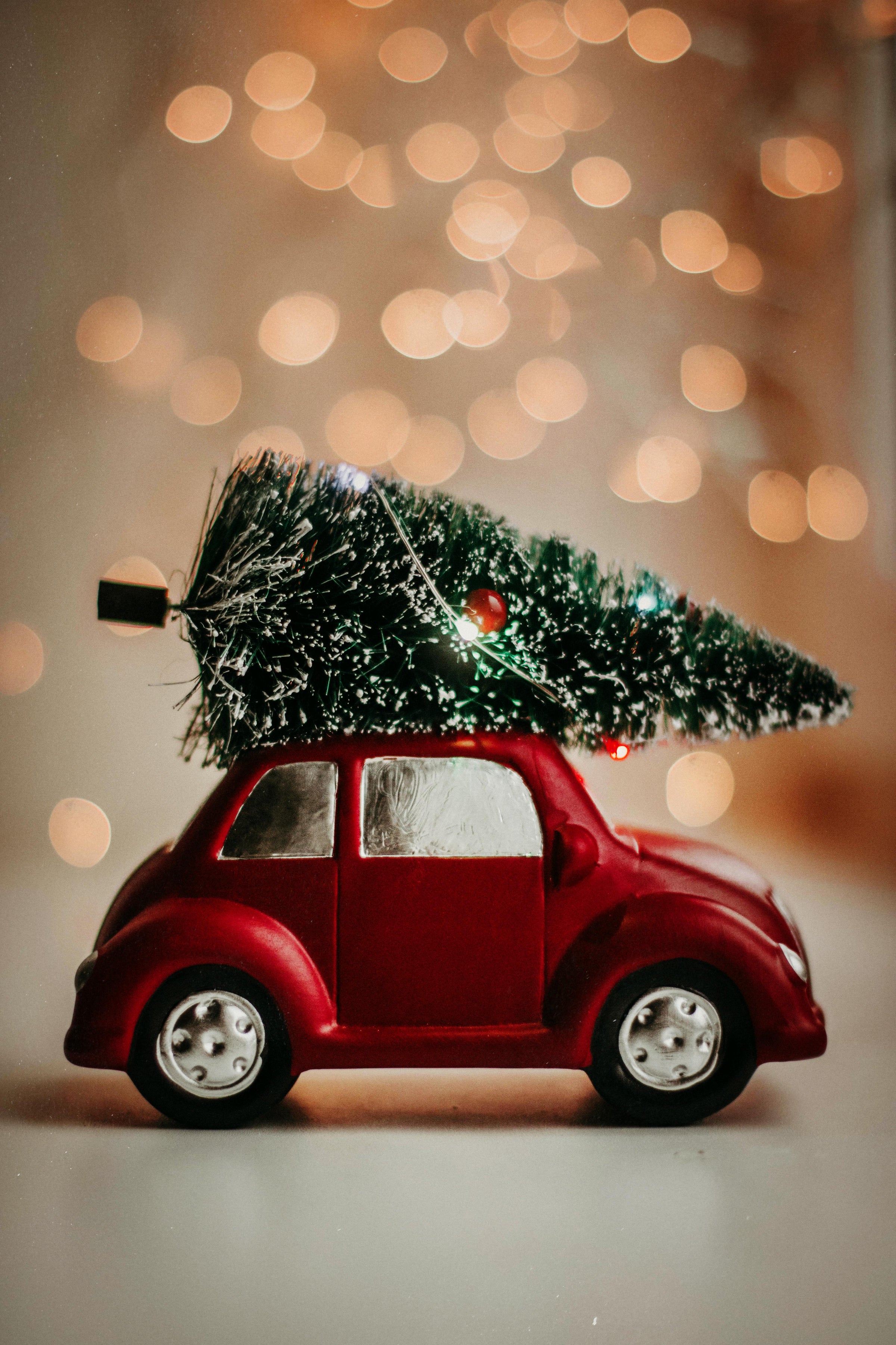 Holiday Decor