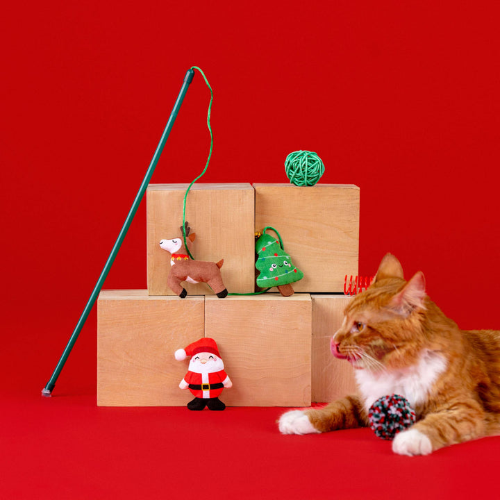 Jingle Joy Cat Toy, Set Of 6