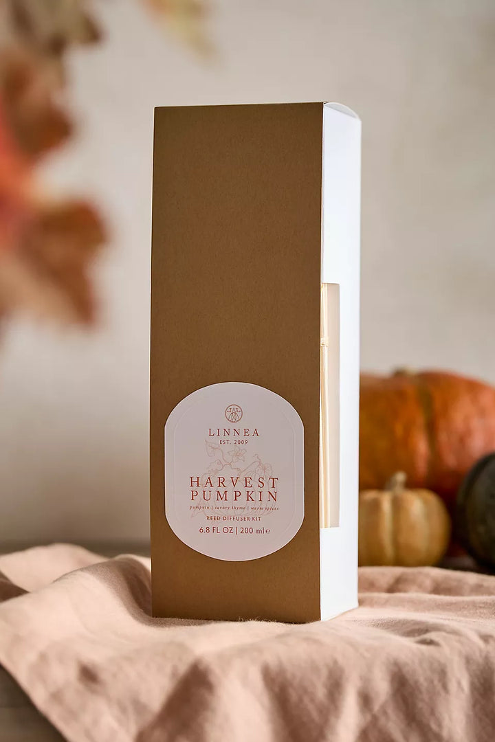 Harvest Pumpkin Reed Diffuser Kit