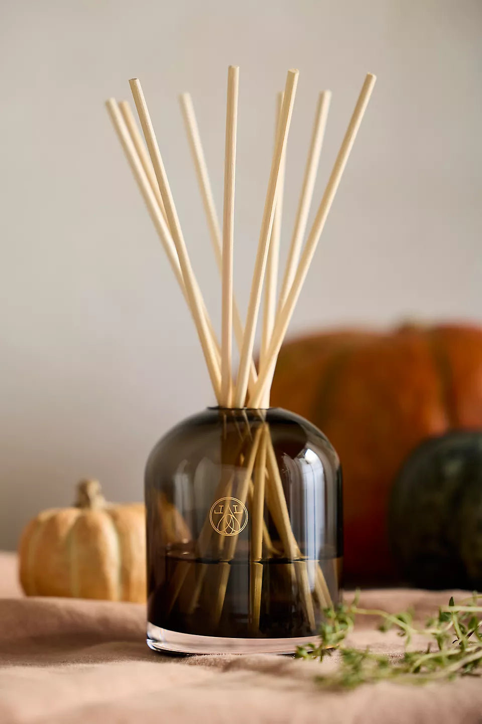 Harvest Pumpkin Reed Diffuser Kit