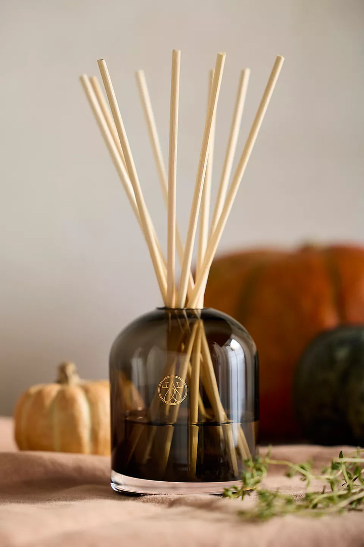 Harvest Pumpkin Reed Diffuser Kit