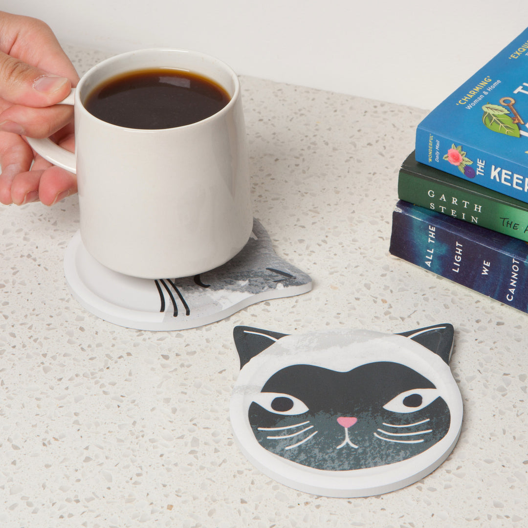 Cats Meow Soak Up Coasters, Set Of 4