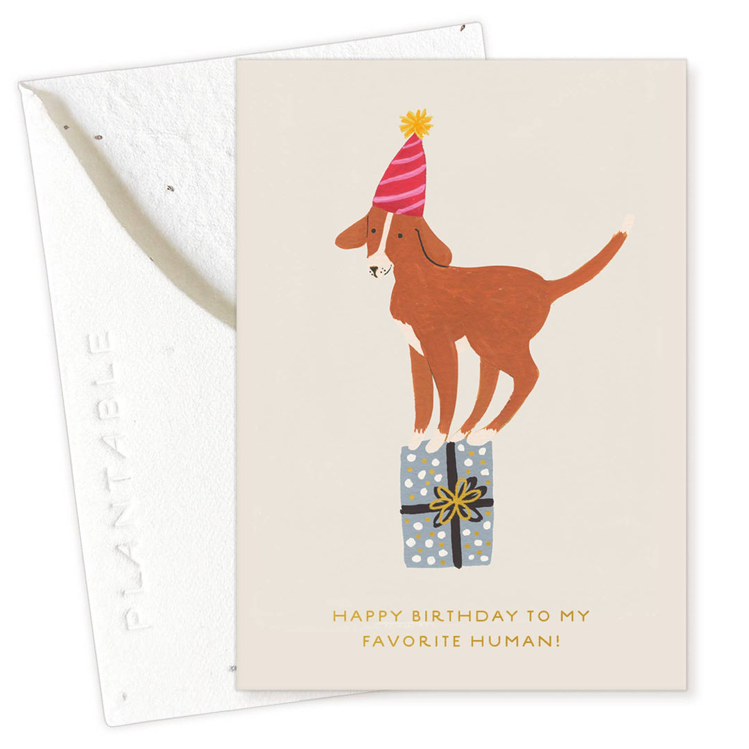 Birthday Dog Sprout - Mini Birthday Card