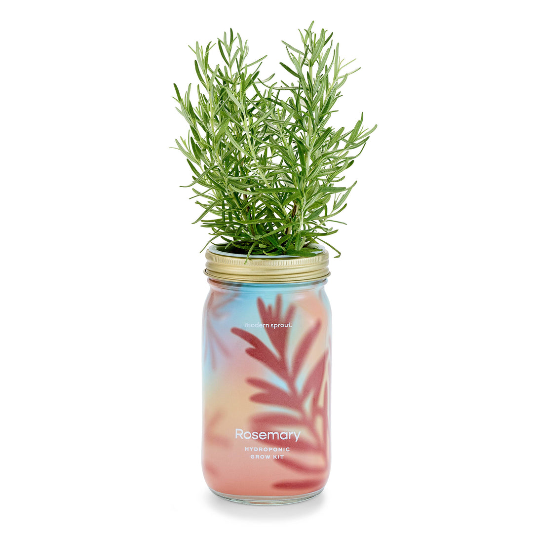 Lavender Herb Garden Jar