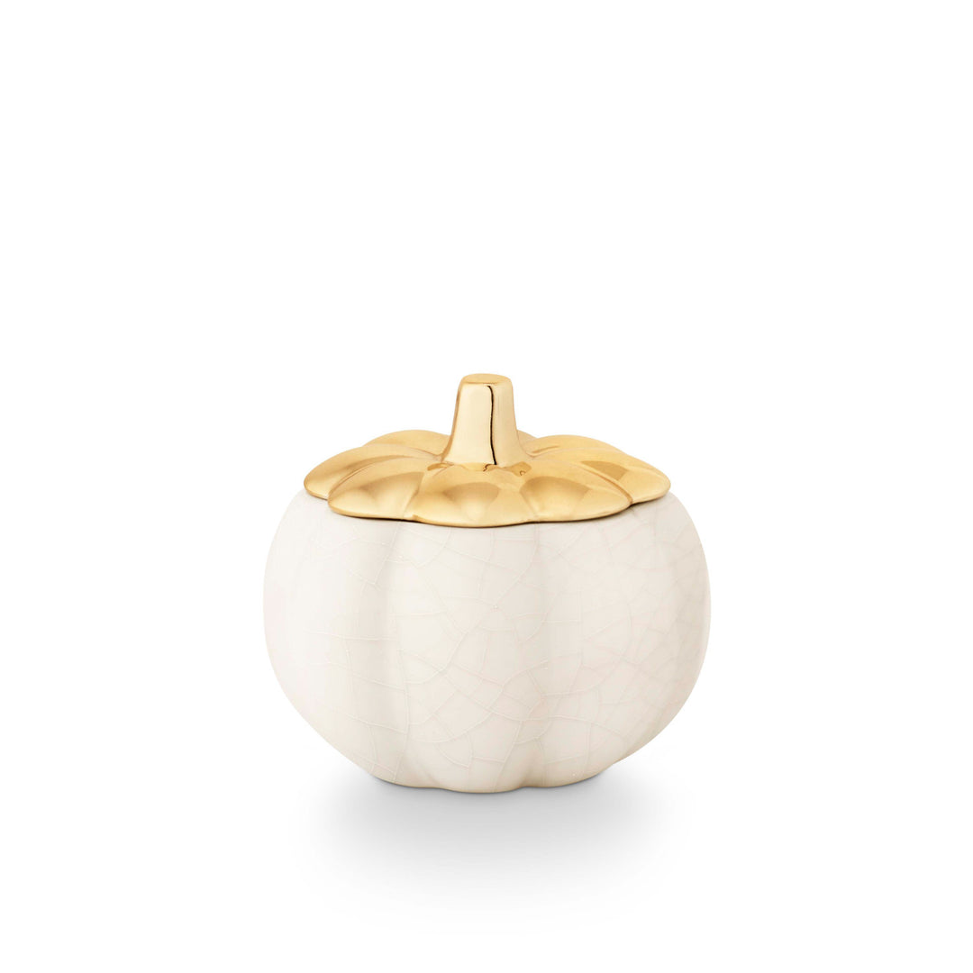 Tried & True Heirloom Pumpkin Short Pumpkin