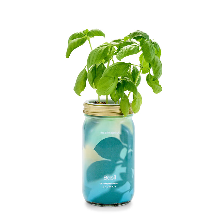 Rosemary Herb Garden Jar