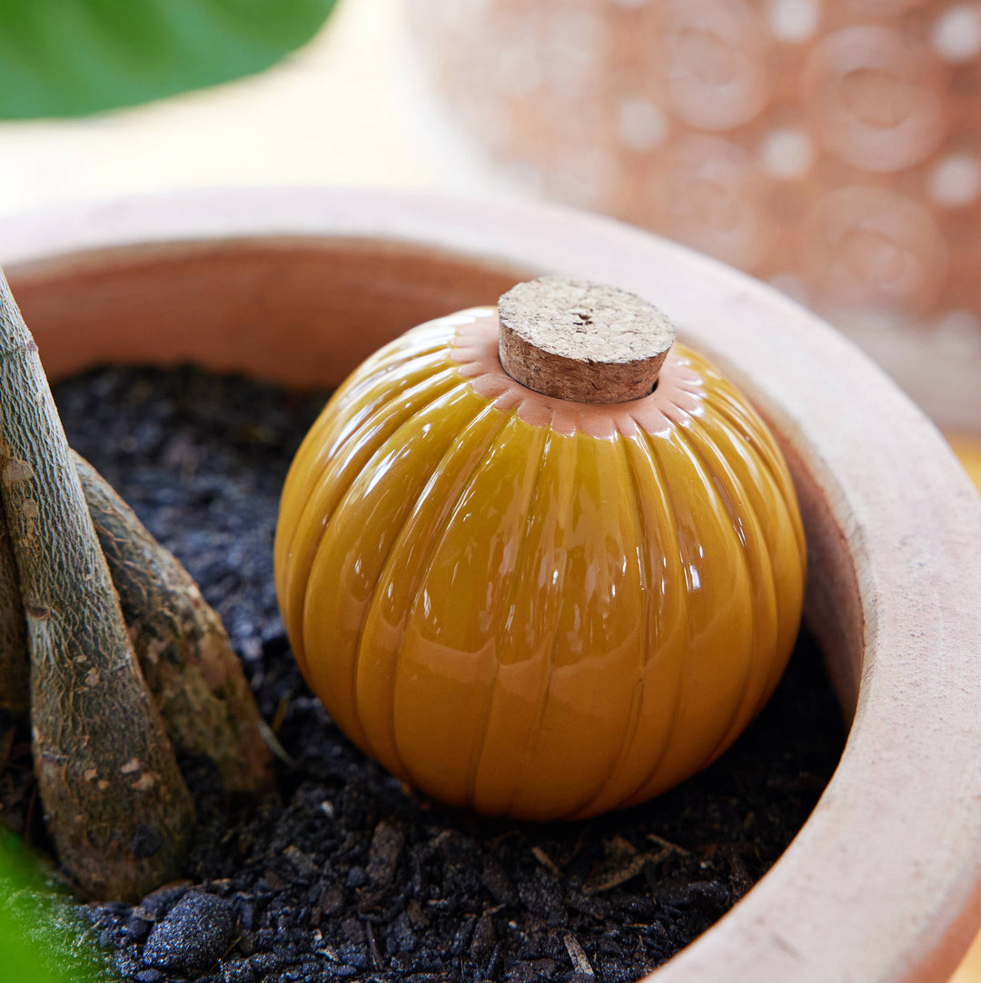 Sage Terracotta Watering Bulb