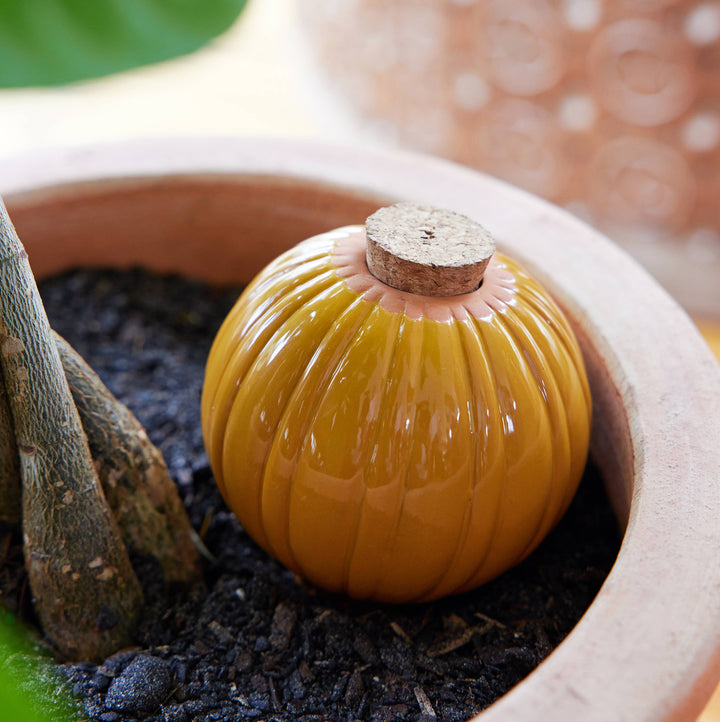 Sage Terracotta Watering Bulb