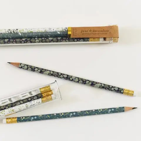 Pencil Terrarium
