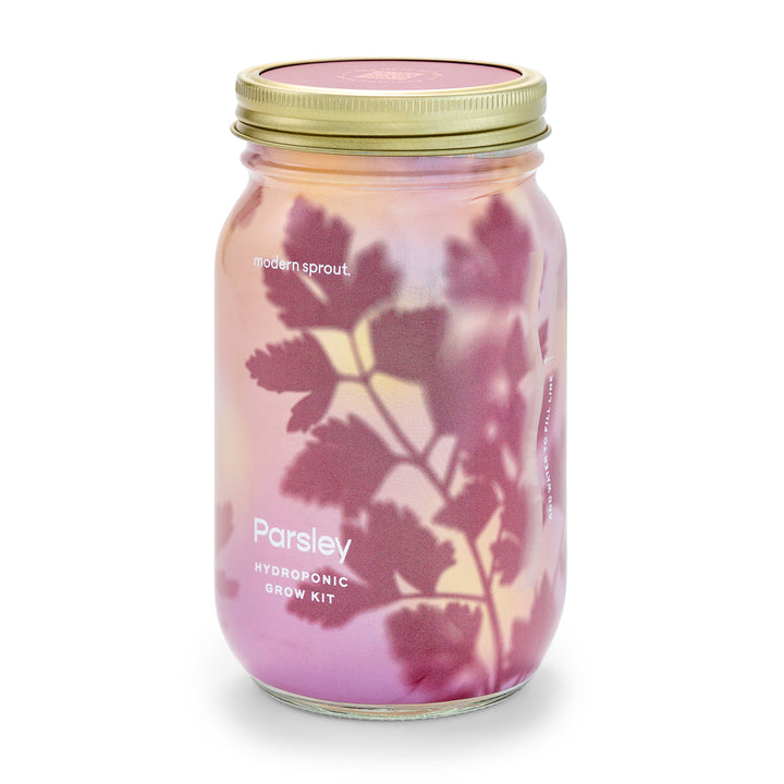 Lavender Herb Garden Jar