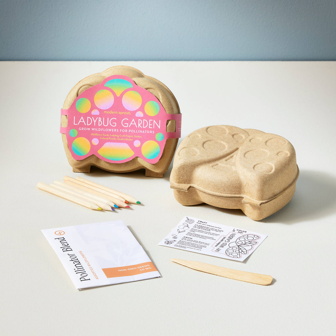 Ladybug Curious Critters Activity Kit