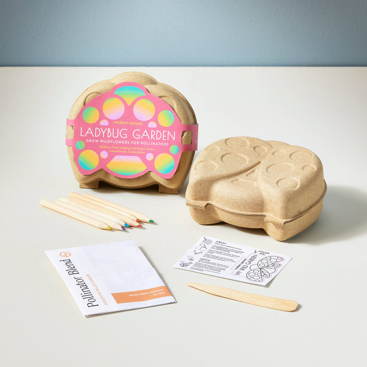 Ladybug Curious Critters Activity Kit