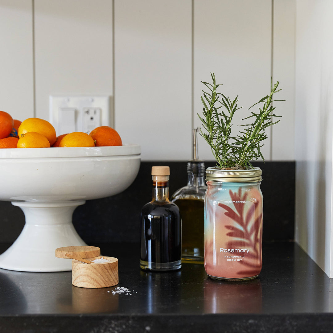 Lavender Herb Garden Jar