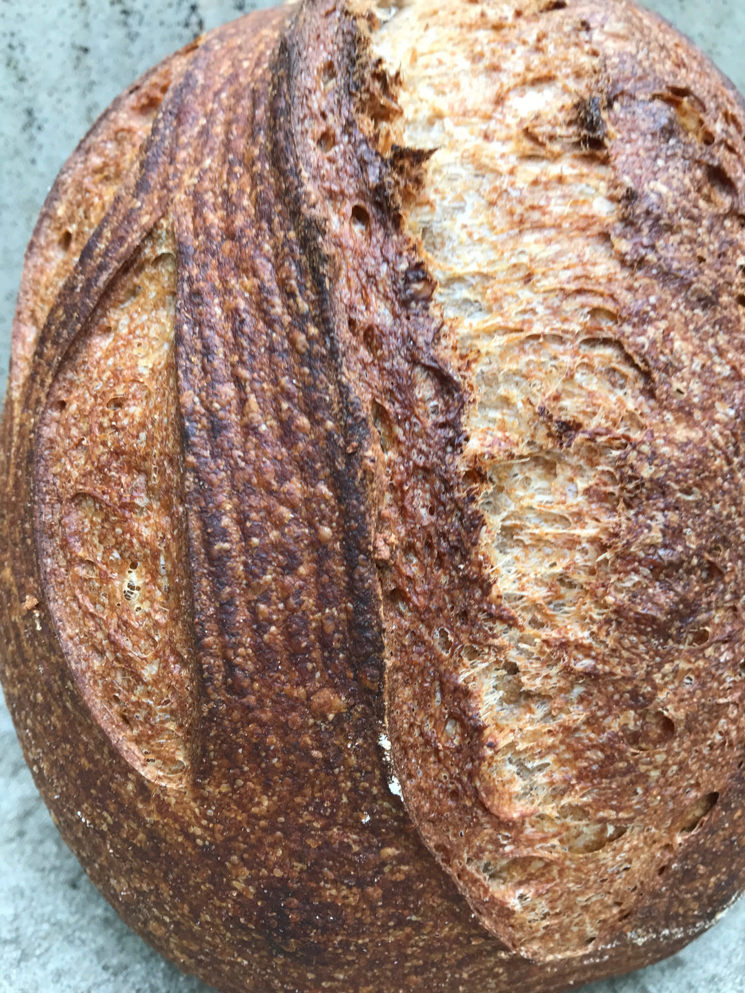 The Craft of Sourdough — From Starter to Loaf