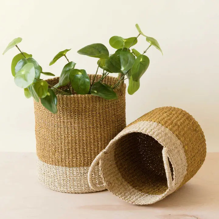 Mustard Baskets with Handle
