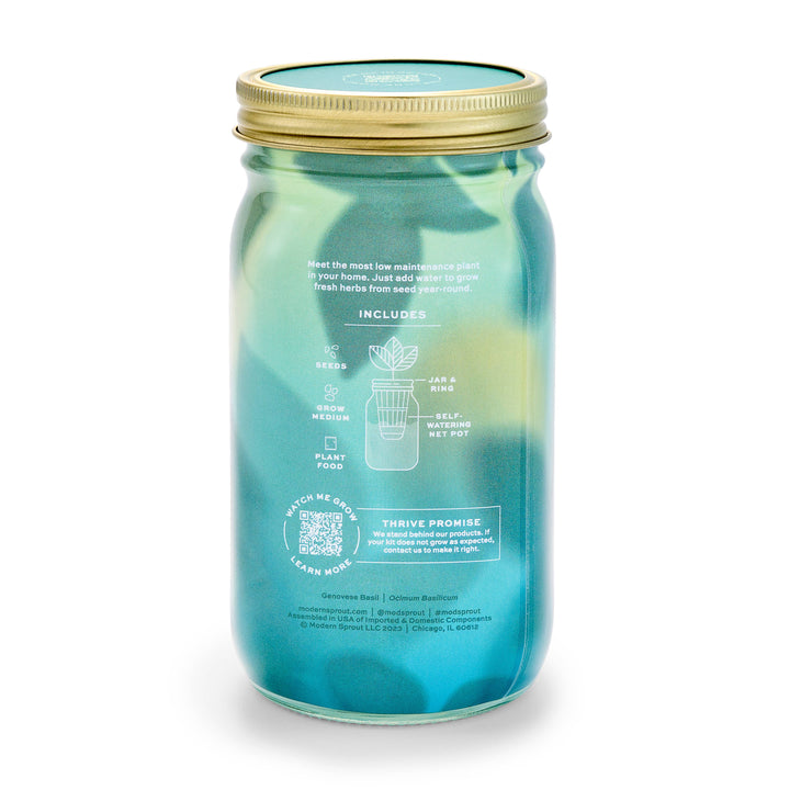 Cilantro Herb Garden Jar