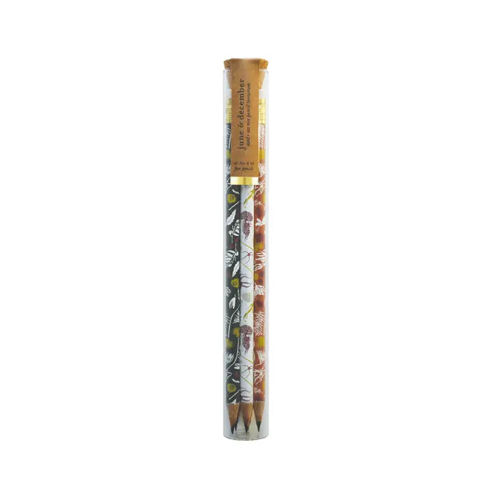 Pencil Terrarium