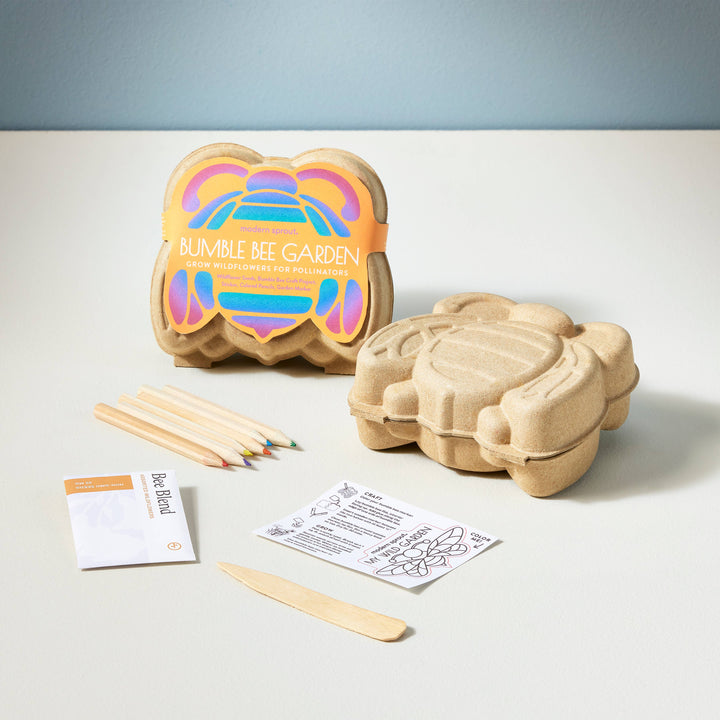 Ladybug Curious Critters Activity Kit