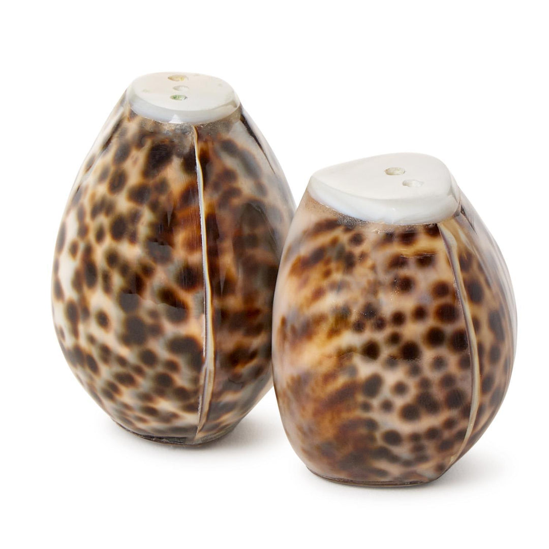 Tiger Cowrie Salt & Pepper Shaker Set
