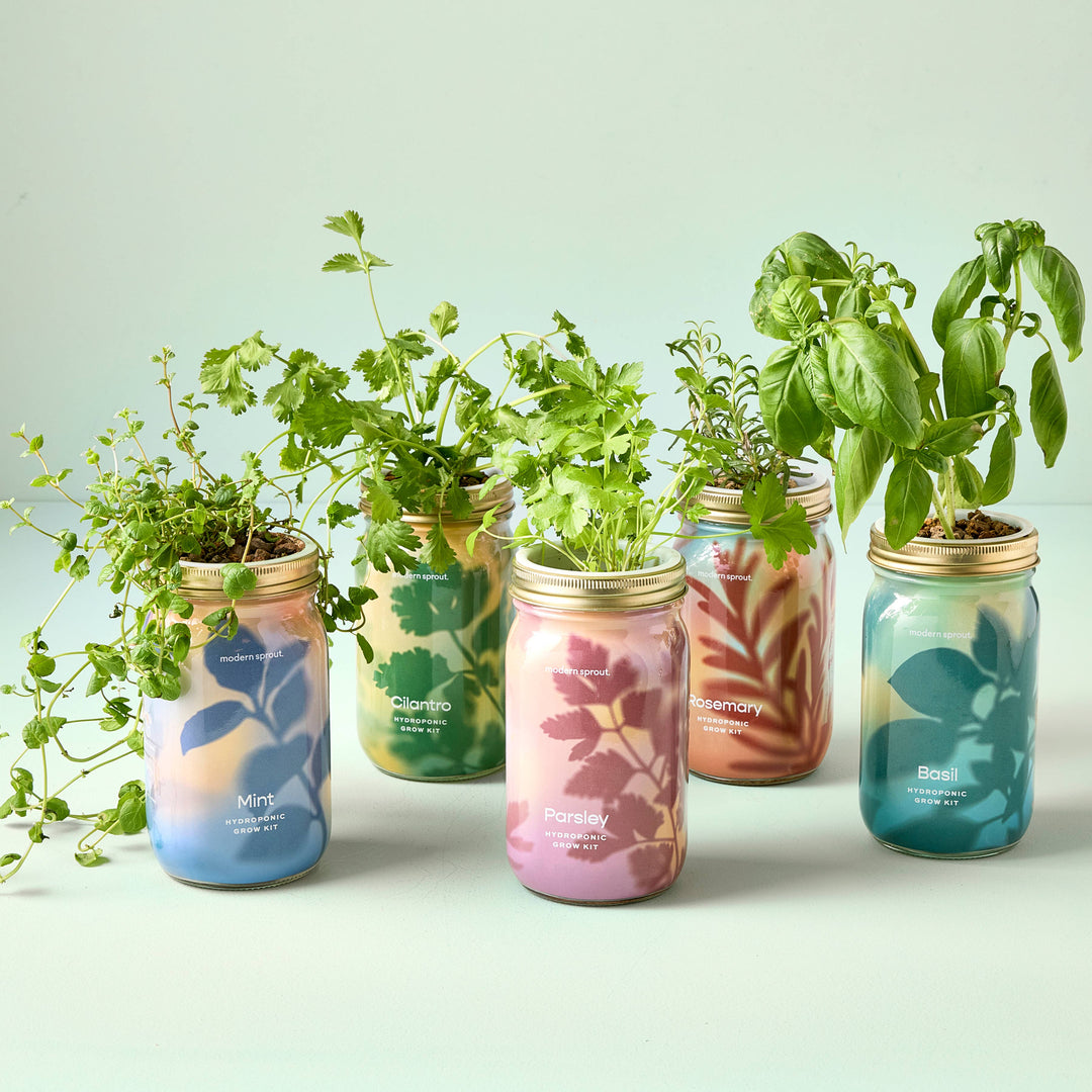 Lavender Herb Garden Jar