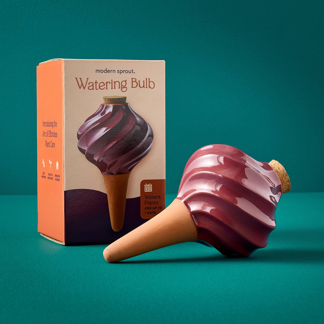 Sage Terracotta Watering Bulb