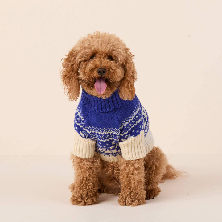 Snow Day Dog Sweater, M