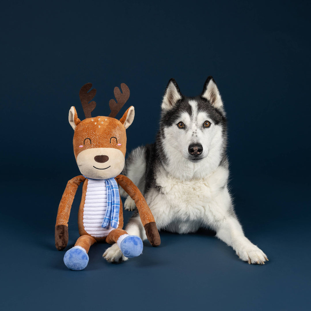 Dashing Around Plush Dog Toy