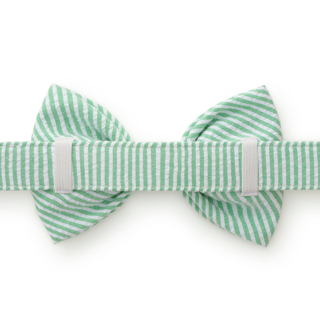 Green Seersucker Dog Bow Tie: Large