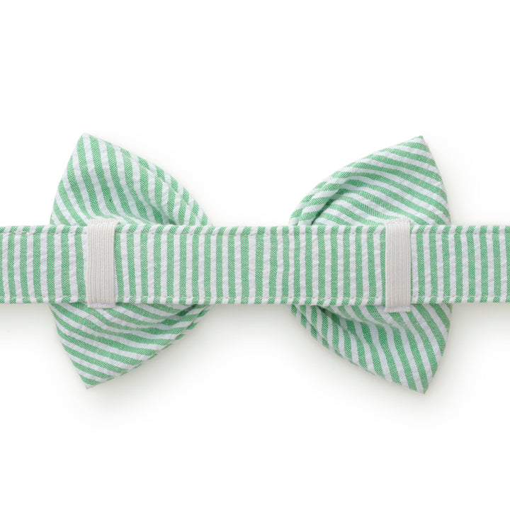 Green Seersucker Dog Bow Tie: Small