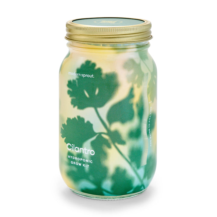 Rosemary Herb Garden Jar