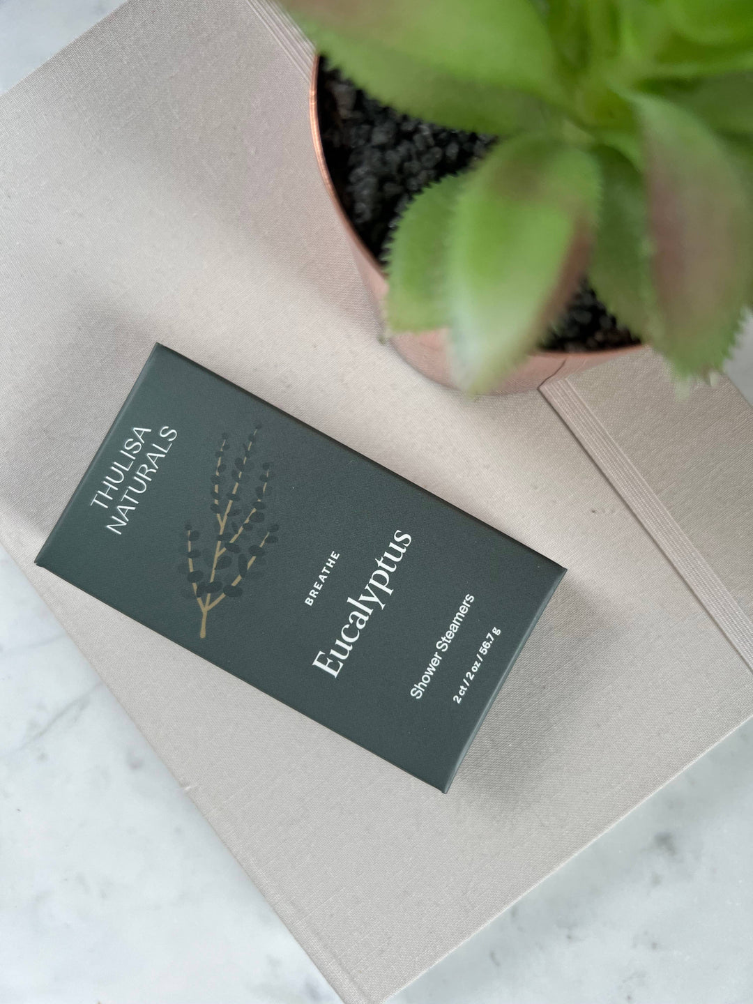 Eucalyptus Mint Shower Steamers, Set Of 2