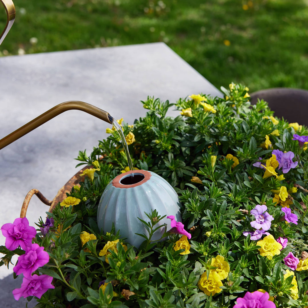 Sage Terracotta Watering Bulb