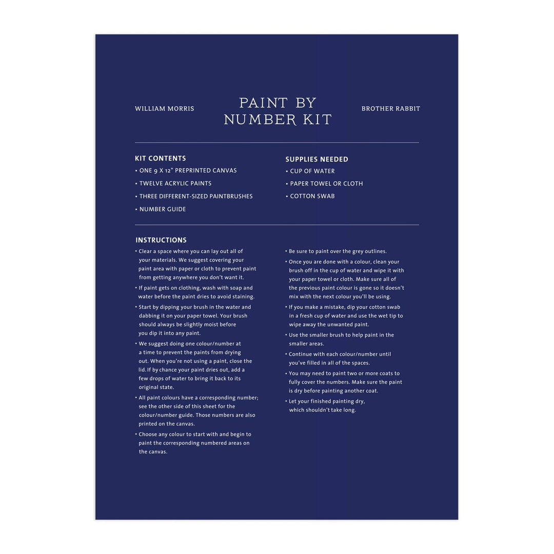 William Morris Brother Rabbit 9" x 12" Paint By Number Kit