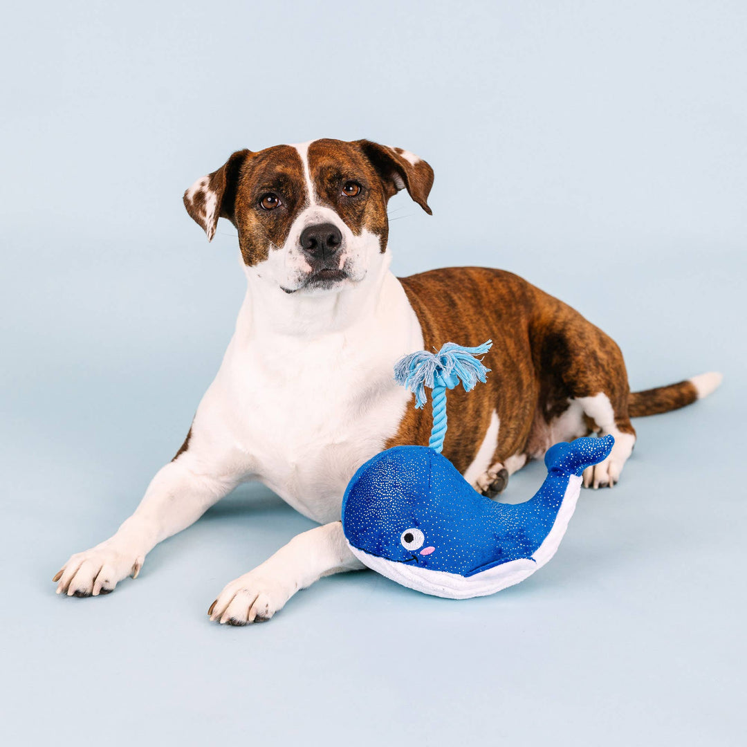 Whale Hello There Plush Dog Toy