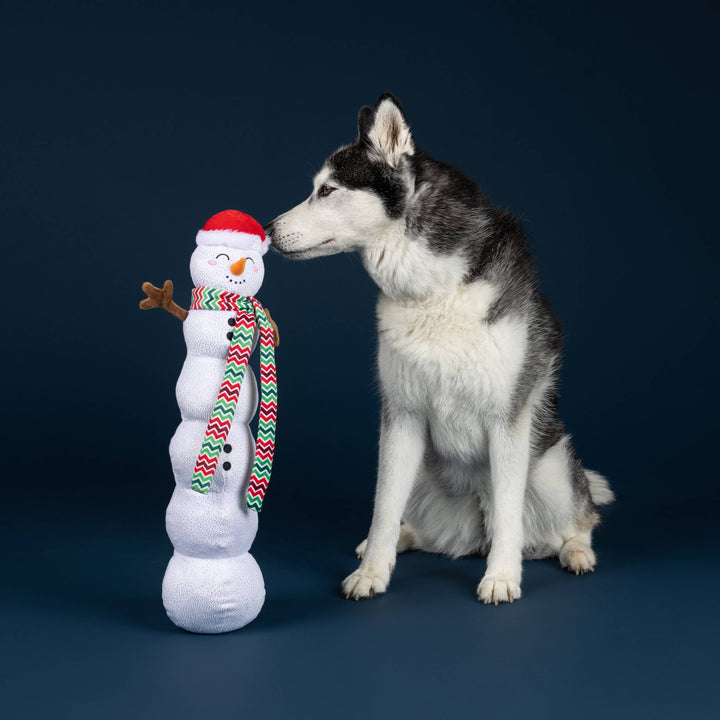 Snowball Party Plush Dog Toy
