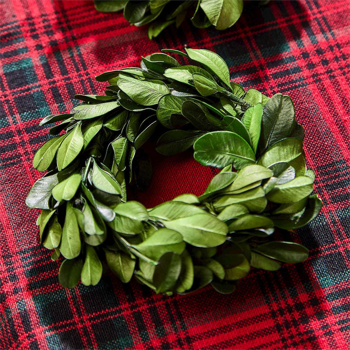 Preserved Boxwood Napkin Rings, Set Of 4