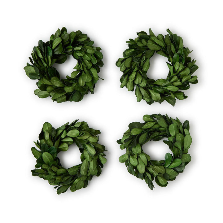 Preserved Boxwood Napkin Rings, Set Of 4