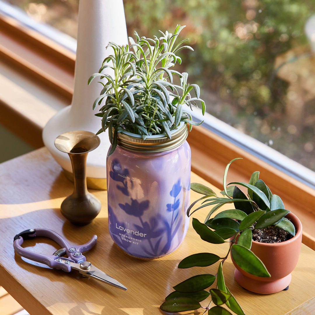 Rosemary Herb Garden Jar