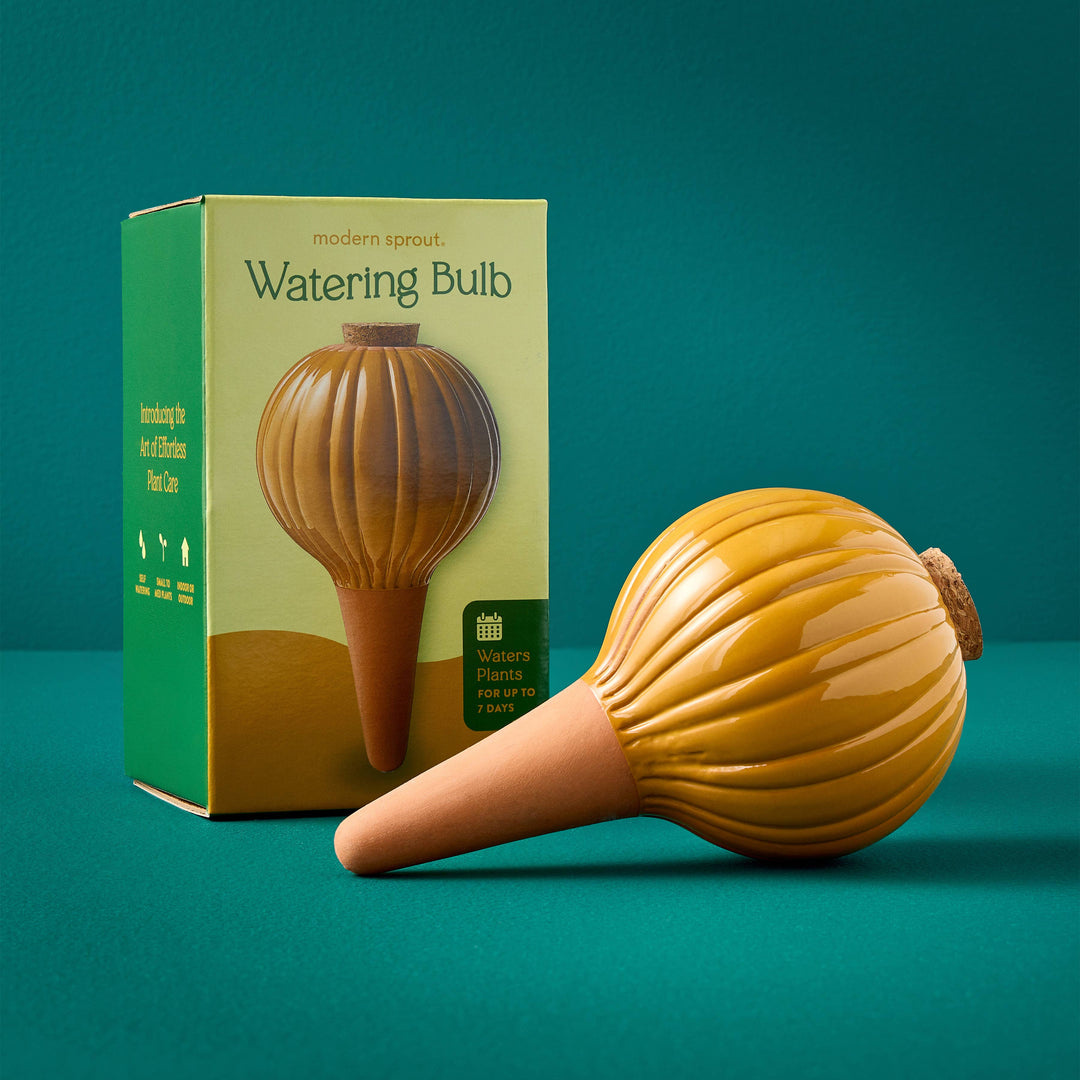 Sage Terracotta Watering Bulb