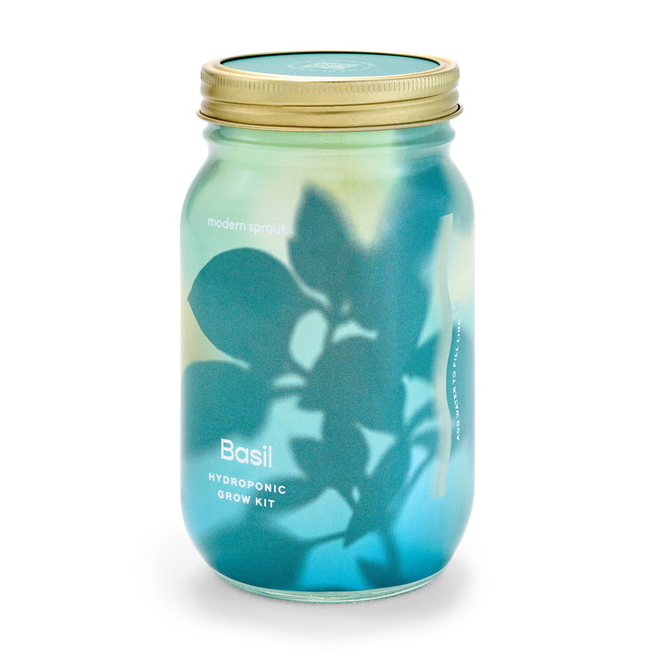 Cilantro Herb Garden Jar