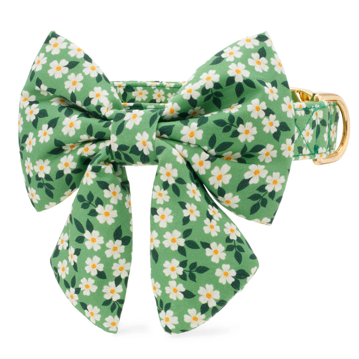 Dainty Daisies Lady Dog Bow: Large