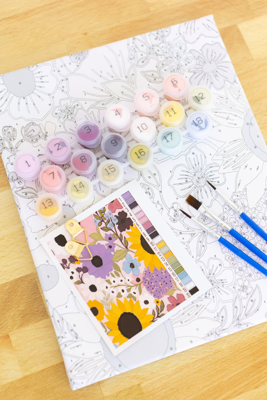 Paint By Number Kit