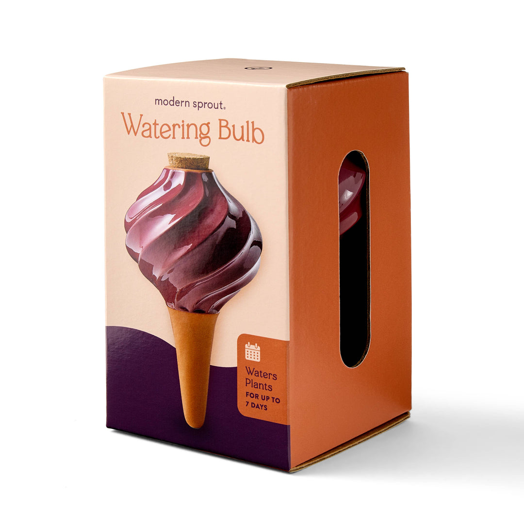 Sage Terracotta Watering Bulb