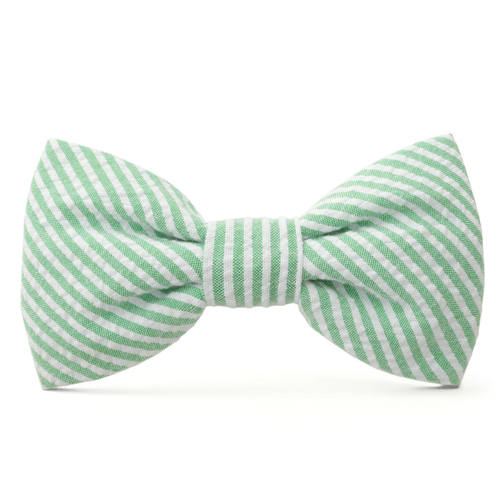 Green Seersucker Dog Bow Tie: Small